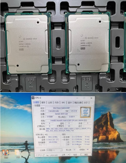 Gold 6248R - 1 Unidad de CPU Xeon Gold
